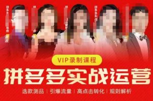 2023推易拼多多实战运营，选款测品、引爆流量、高点击转化、规则解析-沐风资源库