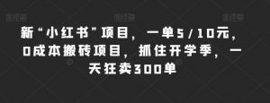 新“小红书”项目，一单5/10元，0成本搬砖项目，抓住开学季，一天狂卖300单【揭秘】-沐风资源库