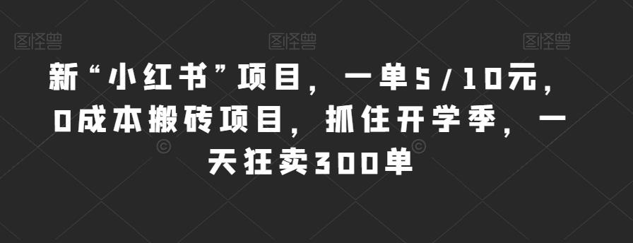 新“小红书”项目，一单5/10元，0成本搬砖项目，抓住开学季，一天狂卖300单【揭秘】-沐风资源库