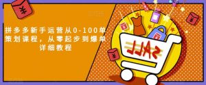 拼多多新手运营从0-100单策划课程，从零起步到爆单详细教程-沐风资源库