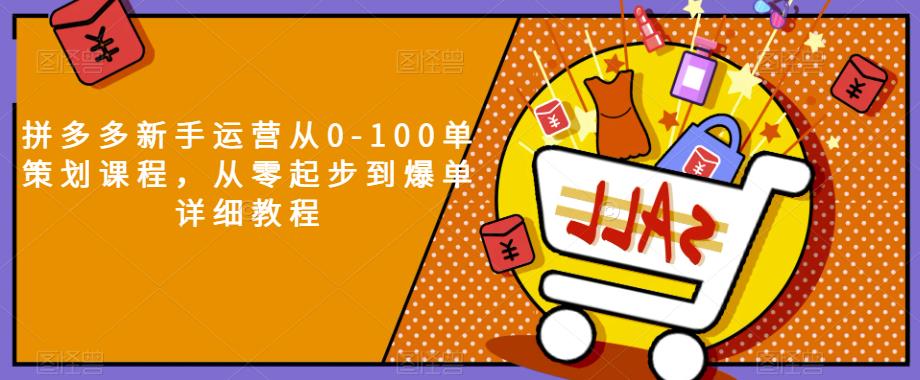拼多多新手运营从0-100单策划课程，从零起步到爆单详细教程-沐风资源库