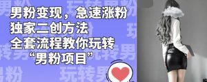 男粉变现，急速涨粉独家二创方法，全套流程教你玩转“男粉项目”【揭秘】-沐风资源库