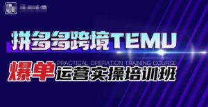 拼多多跨境TEMU爆单运营实操培训班，海外拼多多的选品、运营、爆单-沐风资源库