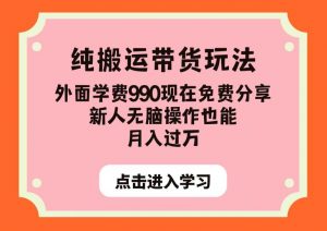 纯搬运带货玩法，外面学费990现在免费分享，新人无脑操作也能月入过万【揭秘】-沐风资源库