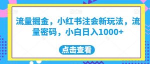 流量掘金，小红书注会新玩法，流量密码，小白日入1000+【揭秘】-沐风资源库
