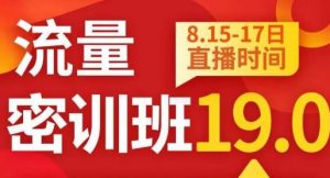 秋秋线上流量密训班19.0，打通流量关卡，线上也能实战流量破局-沐风资源库