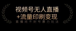全网首发视频号不封号无人直播暴利玩法+流量印刷机变现，日入1000+【揭秘】-沐风资源库