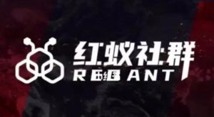 社群运营：红蚁社群【48节落地系统课程+2000人高端社群】-沐风资源库