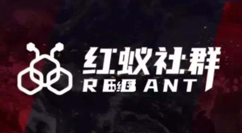 社群运营：红蚁社群【48节落地系统课程+2000人高端社群】-沐风资源库