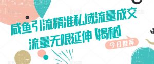 咸鱼引流精准私域流量成交流量无限延伸【揭秘】-沐风资源库
