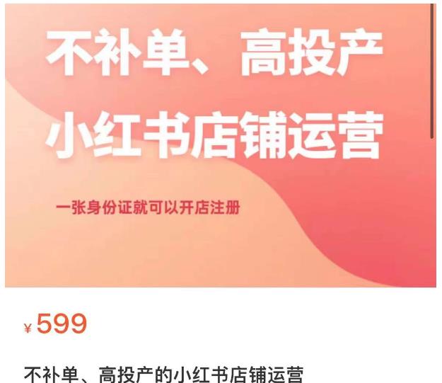 不补单、高投产的小红书店铺运营，一张身份证就可以开店注册-沐风资源库