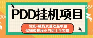 拼多多挂机项目引流+赚钱双重收益项目(保姆级教程小白可上手实操)【揭秘】-沐风资源库
