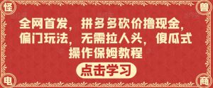 全网首发，拼多多砍价撸现金，偏门玩法，无需拉人头，傻瓜式操作保姆教程【揭秘】-沐风资源库