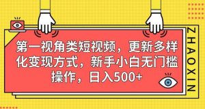 第一视角类短视频，更新多样化变现方式，新手小白无门槛操作，日入500+【揭秘】-沐风资源库