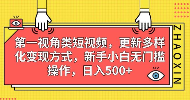 第一视角类短视频，更新多样化变现方式，新手小白无门槛操作，日入500+【揭秘】-沐风资源库