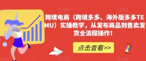 跨境电商（跨境多多、海外版多多TEMU）实操教学，从发布商品到售卖发货全流程操作！-沐风资源库