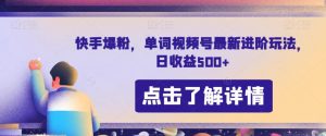 快手爆粉，单词视频号最新进阶玩法，日收益500+【揭秘】-沐风资源库
