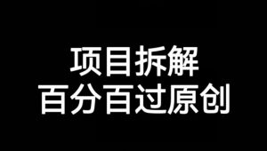 项目拆解赛道百分百过原创【揭秘】-沐风资源库