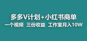 【蓝海项目】多多v计划+小红书商单一个视频三份收益工作室月入10w-沐风资源库