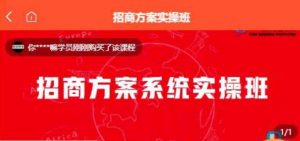 【一度招商】招商方案系统实操班 价值1980元-沐风资源库