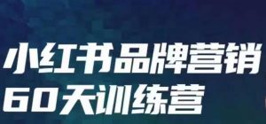 小红书品牌60天训练营第6期，GMV2亿级品牌老板都在学，教会你内容营销底层逻辑-沐风资源库