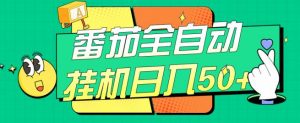 番茄全自动挂机日入50+，软件全自动，多号破百【揭秘】-沐风资源库