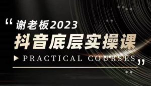 蟹老板·2023抖音底层实操课,打造短视频的底层认知-沐风资源库