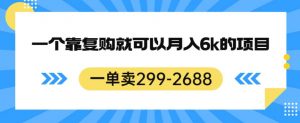 一单卖299-2688，一个靠复购就可以月入6k的暴利项目【揭秘】-沐风资源库