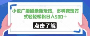 小说广播剧最新玩法，多种变现方式轻轻松松日入500＋【揭秘】-沐风资源库