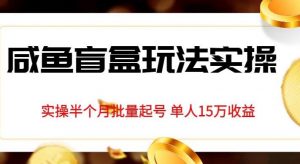 独家首发咸鱼盲盒玩法实操，半个月批量起号单人15万收益【揭秘】-沐风资源库
