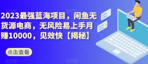 2023最强蓝海项目，闲鱼无货源电商，无风险易上手月赚10000，见效快【揭秘】-沐风资源库