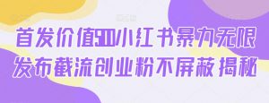 首发价值5100小红书暴力无限发布截流创业粉不屏蔽揭秘-沐风资源库