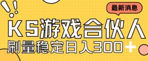 快手游戏合伙人新项目，新手小白也可日入300+，工作室可大量跑-沐风资源库