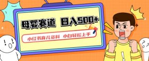 小红书育儿资料，一部手机可操作，多种变现方式，日入500+，私域变现，长期可持续项目【揭秘】-沐风资源库