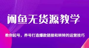 闲鱼无货源教学，教你起号，养号打造爆款链接以及转转的运营技巧-沐风资源库