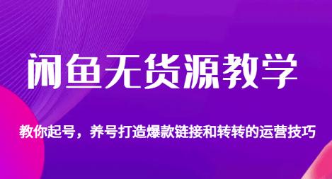 闲鱼无货源教学，教你起号，养号打造爆款链接以及转转的运营技巧-沐风资源库