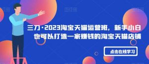 三刀·2023淘宝天猫运营班，新手小白也可以打造一家赚钱的淘宝天猫店铺-沐风资源库