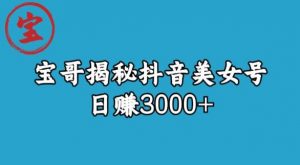 宝哥揭秘抖音美女号玩法，日赚3000+【揭秘】-沐风资源库
