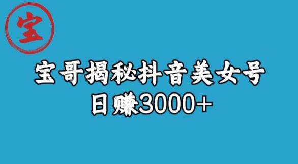宝哥揭秘抖音美女号玩法，日赚3000+【揭秘】-沐风资源库