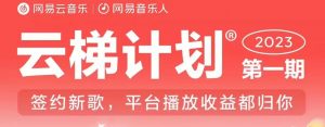 2023年8月份网易云最新独家挂机技术，真正实现挂机月入5000【揭秘】-沐风资源库