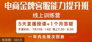 电商金牌客服能力提升班，提升客服能力是你店铺业绩的关键要素-沐风资源库