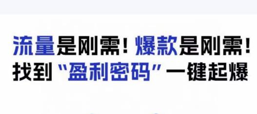 电商盈利精品课：6大盈利密码让产品更好卖，流量是刚需！爆款是刚需！找到”盈利密码”一键起爆-沐风资源库