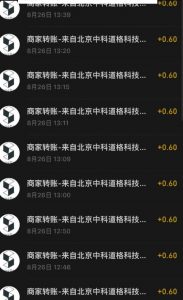 接码无限撸红包一分钟0.6无脑操作一天保底利润200-沐风资源库