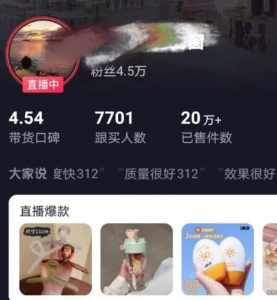 全新的蓝海赛道，抖音一元直播，不用囤货，不用出镜，照读话术也能20w+月销量【揭秘】-沐风资源库