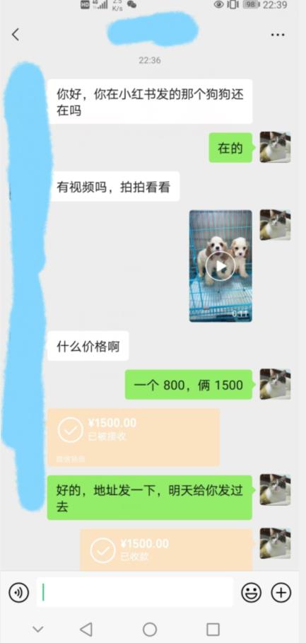 外边收费3980的同城萌宠项目，用最冷门的玩法冲击最热门的市场【揭秘】-沐风资源库