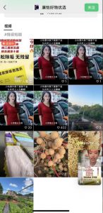 外面收费198的最新视频号连怼技术，条条原创，条条爆单【揭秘】-沐风资源库