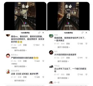 副业拆解：抖音杰伦音乐号涨粉变现项目，视频版一条龙实操玩法分享给你-沐风资源库