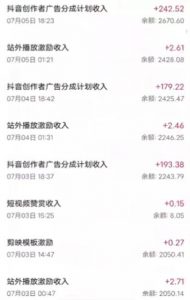 抖音最新超蓝海项目，魔法照片，无脑矩阵操作，小白也能日入1000+【揭秘】-沐风资源库