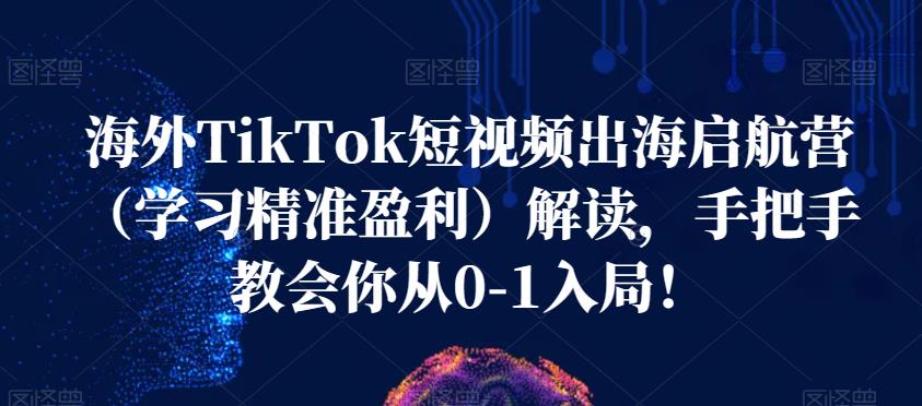 海外TikTok短视频出海启航营（学习精准盈利）解读，手把手教会你从0-1入局！-沐风资源库
