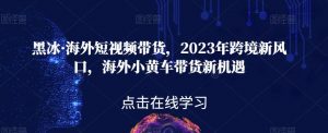黑冰·海外短视频带货，2023年跨境新风口，海外小黄车带货新机遇-沐风资源库